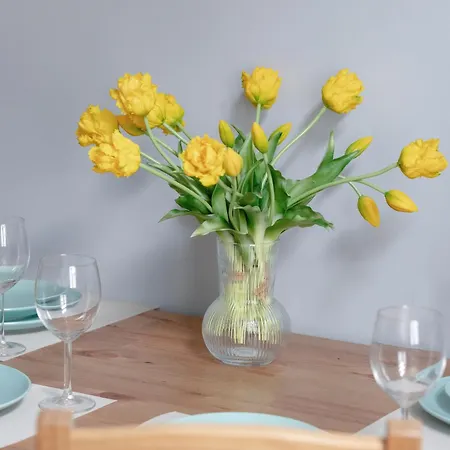 Nadmorski Swiatowida W Miedzyzdrojach By Renters