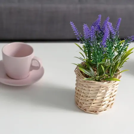 Appartamento Nadmorski Swiatowida W Miedzyzdrojach By Renters Miedzyzdroje